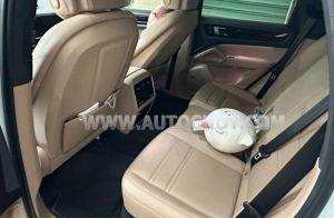 Xe Porsche Cayenne 3.0 V6 2021