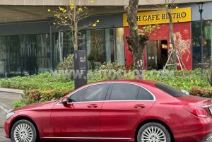 Xe Mercedes Benz C class C250 Exclusive 2015