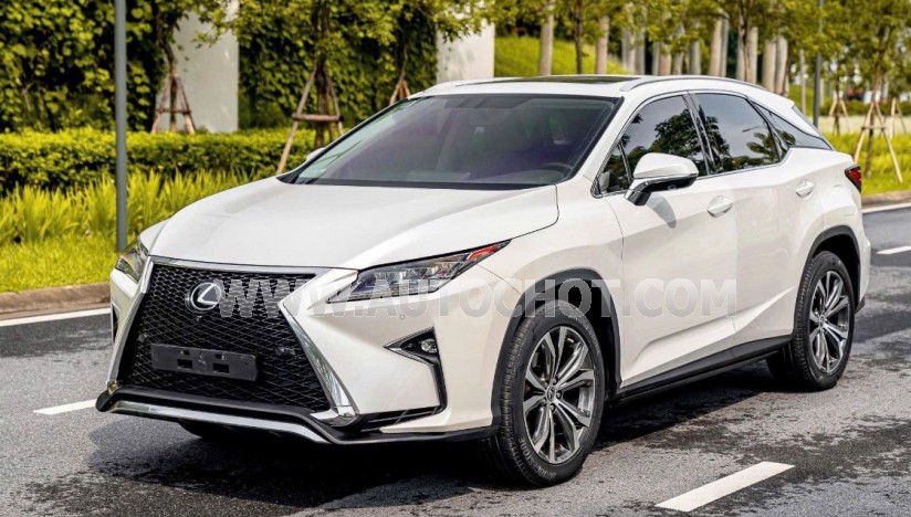Xe Lexus RX 350 2019