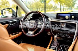 Xe Lexus RX 350 2019
