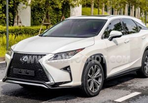 Xe Lexus RX 350 2019