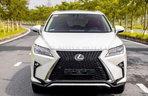Xe Lexus RX 350 2019