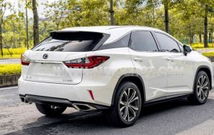 Xe Lexus RX 350 2019