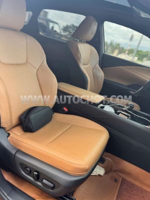 Xe Lexus RX 350 Premium 2023