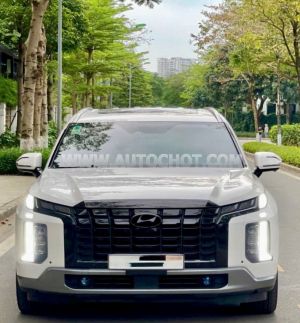 Xe Hyundai Palisade Prestige 2.2 AT HTRAC 2024