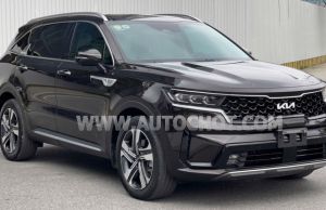 Xe Kia Sorento Signature 2.2 AT AWD 7S 2021