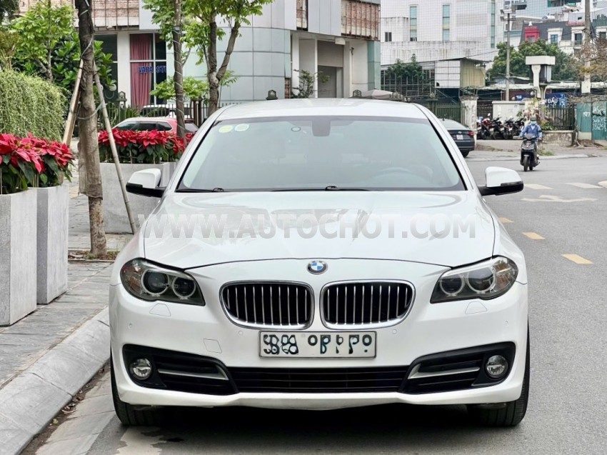 BMW 5 Series 520i 2015