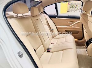 Xe BMW 5 Series 520i 2015