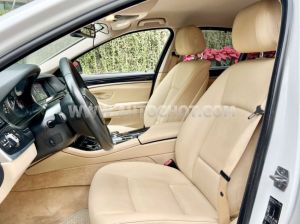 Xe BMW 5 Series 520i 2015