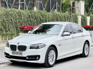 Xe BMW 5 Series 520i 2015