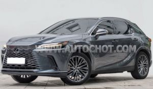 Xe Lexus RX 350 Luxury 2024