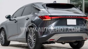 Xe Lexus RX 350 Luxury 2024