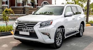 Xe Lexus GX 460 2015