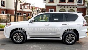 Xe Lexus GX 460 2015