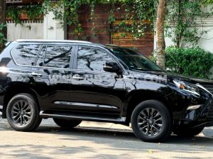 Xe Lexus GX 460 2020