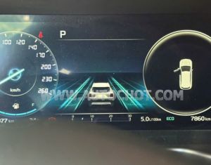 Xe Kia Sorento Premium 2.2D AT AWD 2025