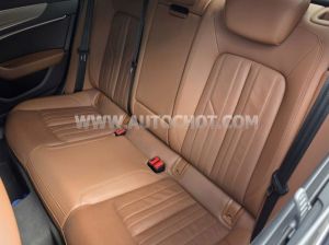 Xe Audi A6 45 TFSI 2020