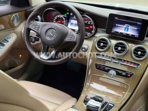 Xe Mercedes Benz C class C250 Exclusive 2017