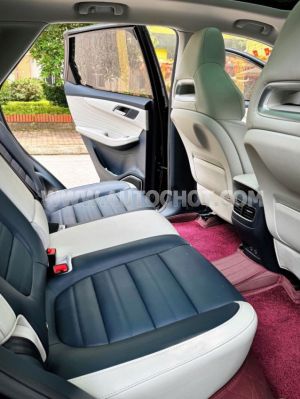 Xe MG HS 1.5T LUX 2024