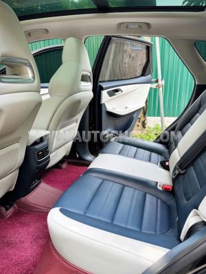 Xe MG HS 1.5T LUX 2024
