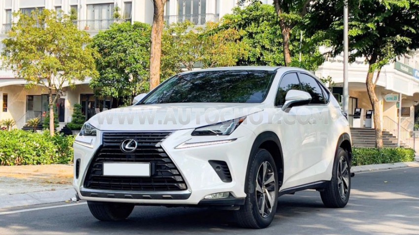 Lexus NX 300 2019
