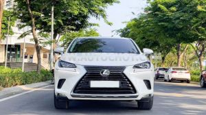 Xe Lexus NX 300 2019
