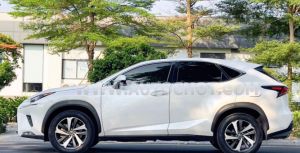 Xe Lexus NX 300 2019