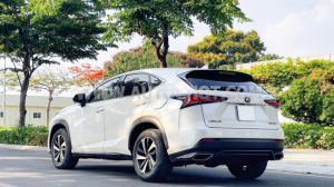 Xe Lexus NX 300 2019