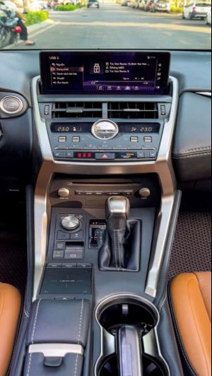 Xe Lexus NX 300 2019