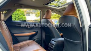 Xe Lexus NX 300 2019