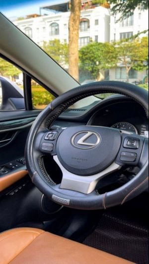 Xe Lexus NX 300 2019