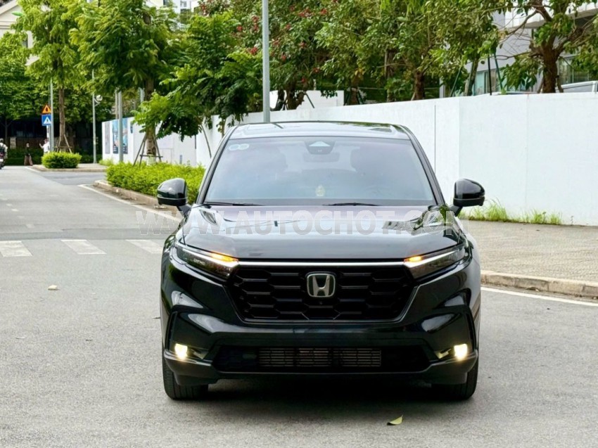 Xe Honda CRV L 2023