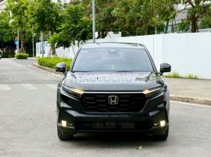 Xe Honda CRV L 2023