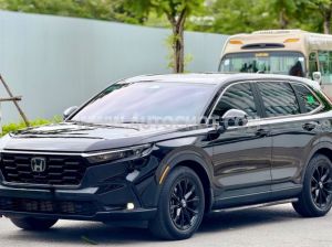 Xe Honda CRV L 2023