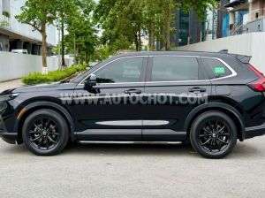 Xe Honda CRV L 2023