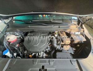Xe Kia Carnival Signature 2.2D 2023