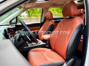 Xe Kia Carnival Signature 2.2D 2024
