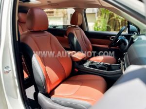 Xe Kia Carnival Signature 2.2D 2024