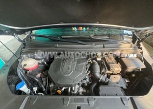 Xe Kia Carnival Signature 2.2D 2023