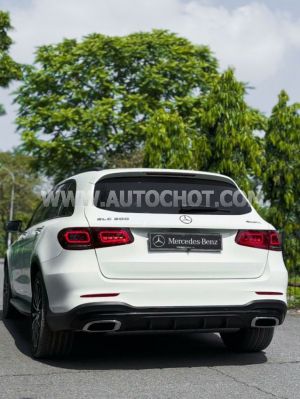 Xe Mercedes Benz GLC 300 4Matic 2019