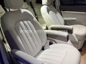 Xe Volkswagen Viloran Premium 2024