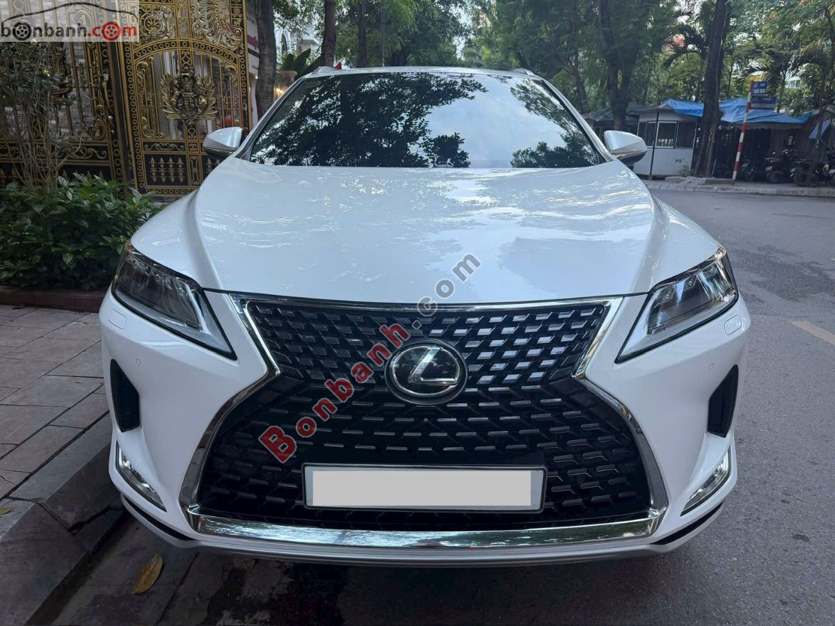 Xe Lexus RX 300 2021