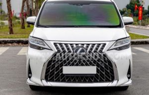 Xe Lexus LM 300h 2021