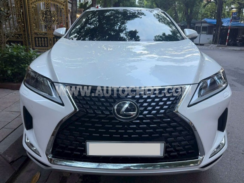 Lexus RX 300 2021
