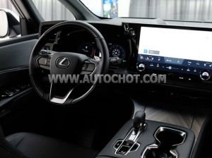 Xe Lexus LM 500h 2024