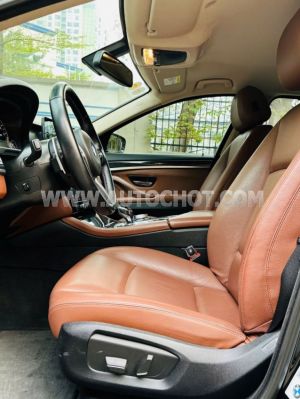 Xe BMW 5 Series 520i 2016