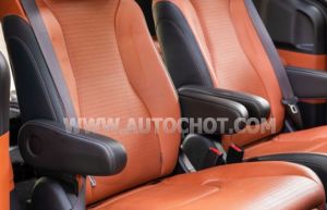 Xe Kia Carnival Signature 2.2D 2022