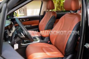 Xe Kia Carnival Signature 2.2D 2022