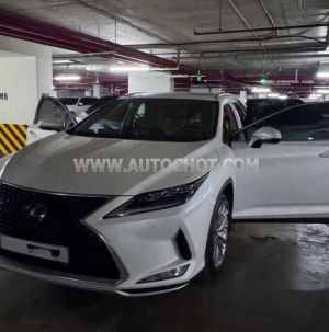 Xe Lexus RX 450h 2019