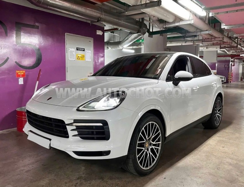Xe Porsche Cayenne Coupe Platinum Edition 2022